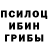 Галлюциногенные грибы ЛСД Robert Pawlowicz