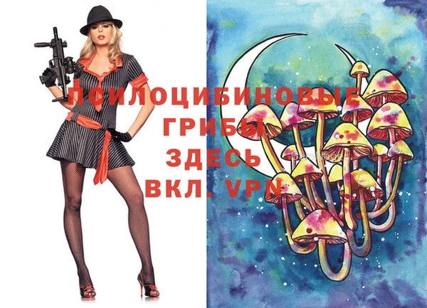 гидропоника Алексеевка