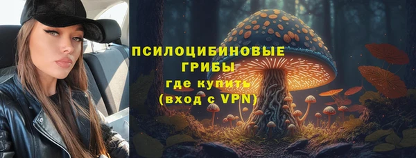 ГАЛЛЮЦИНОГЕННЫЕ ГРИБЫ Алзамай